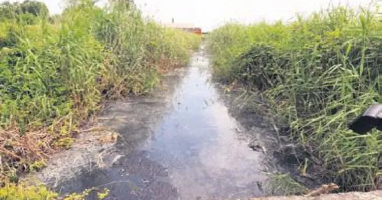 Riva yine pisliğe teslim oldu