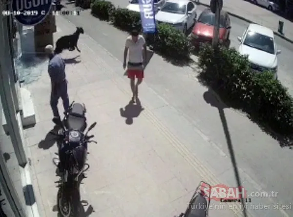 Ve ilk kaçan kurbanlık haberi geldi! İş yerinde ne var ne yok...