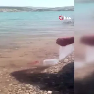 ABD uyruklu kişi bu kez de baraj gölünde kırmızı balıklar bırakırken yakalandı