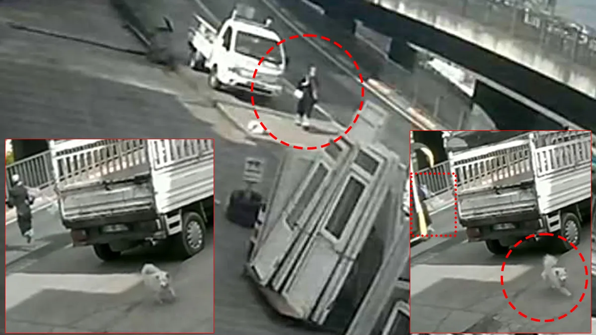 SON DAKİKA… Sokak köpeğinden kaçarken otobüs çarptı! Üniversiteli Cennet Nesibe Gül yaşam savaşı veriyor… SON DAKİKA… Sokak köpeğinden kaçarken otobüs çarptı! Üniversiteli Cennet Nesibe Gül yaşam savaşı veriyor…