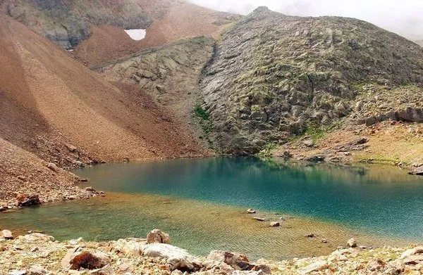 Doğu Karadeniz'de 117 tane var