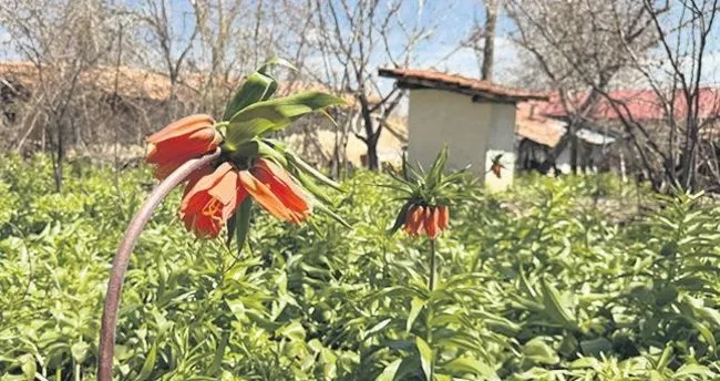 Tarihi göçün hüzünlü yolcuları