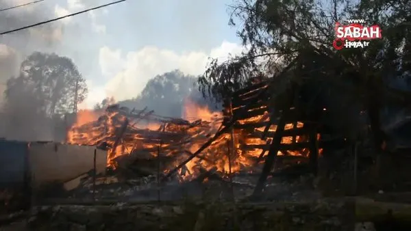 Kastamonu’da bir köy alevlere teslim oldu: Yangın çok sayıda eve sıçradı | Video