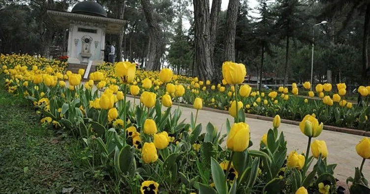 Kepez’de park ve bahçeler laleler ile donatıldı