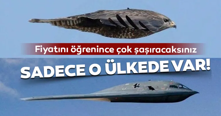 Sadece o ülkede var! Fiyatı şaşırttı!