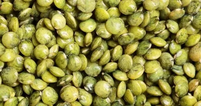 Obeziteyi önleyen süper besinler şaşırtıyor! İşte yedikçe zayıflatan 10 mucize besin!