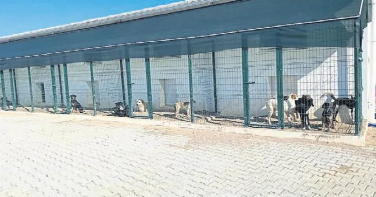 Başkandan şok iddia