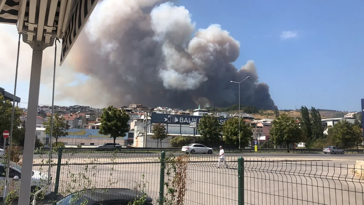 Bursa'da Orman Yangını: Alevler Kısa Sürede Kontrol Altına Alındı!