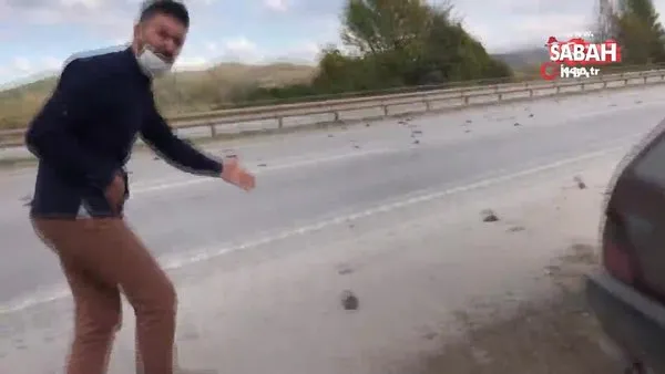 D-100 karayolunda onlarca ölü sığırcık kuşu gören vatandaşlar şaşkına döndü | Video