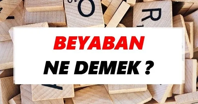 Beyaban Ne Demek? TDK’ya Göre Beyaban Sözlük Anlamı Nedir?
