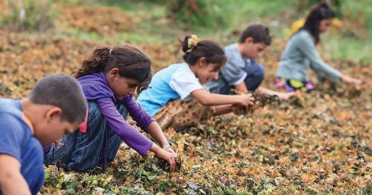 2018 yılı Çocuk işçiliği ile mücadele yılı ilan edildi