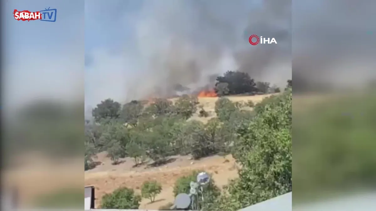 Diyarbakır'da yangın! Alevler evlere yaklaşmıştı ki…| Video Diyarbakır'da yangın! Alevler evlere yaklaşmıştı ki…| Video