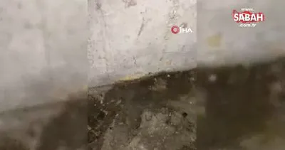 Sultangazi’de 4 binanın bodrum katını lağım suyu bastı: İSKİ’ye tepki yağdı | Video
