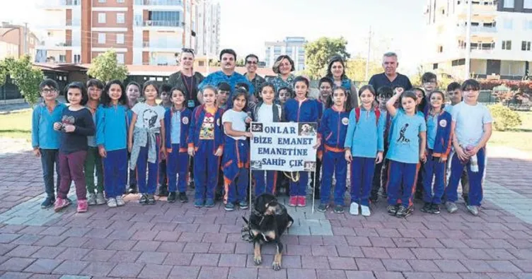 Sokak hayvanları ‘ev’leniyor