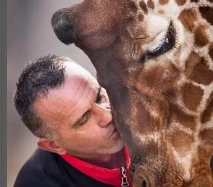 Sevgiden öte hayat bağı: 10 yıldır baktığı zürafa ile aynı gün öldü!