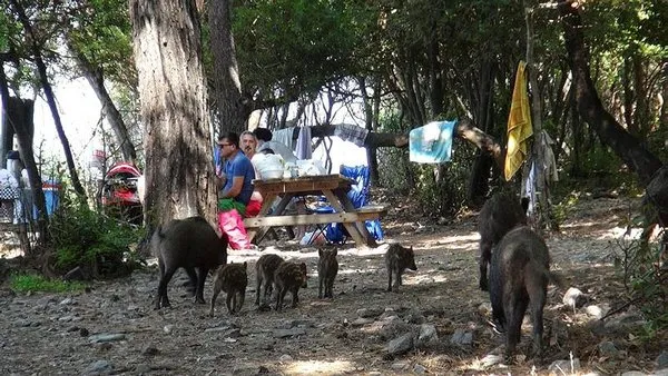 Son 24 saatte yurtta 3. sayfa haberleri (15.06.2015)