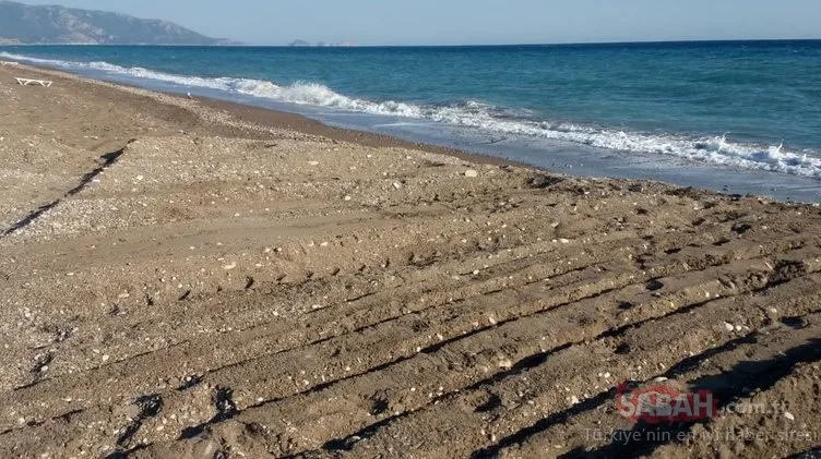 Antalya’da skandal görüntü! Sahilde çalışma yapılan iş makinesi kaplumbağa yuvalarını dağıttı