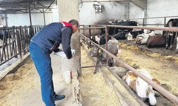 Ette fiyat manipülasyonuna operasyon: 30 kişi gözaltına alındı