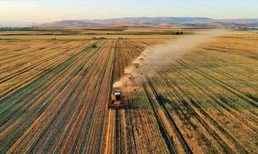 Türkiye tarımsal üretim ve gıda sektöründe öncü olma konumunda