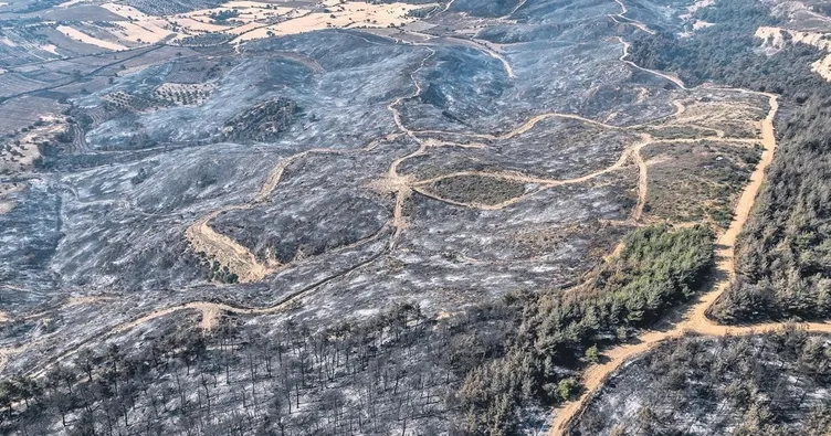Gelibolu’da acı tablo