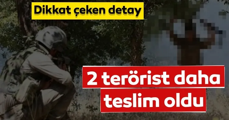 SON DAKİKA:  PKK terör örgütünden kaçan 2 terör örgütü mensubu daha bugün güvenlik güçlerine teslim oldu