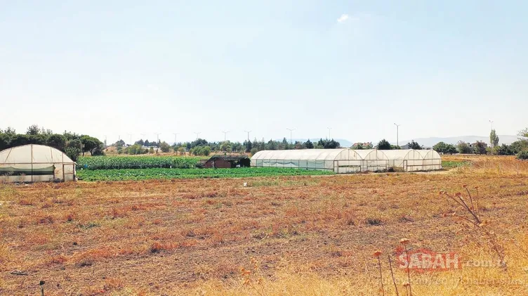 SON DAKİKA! CHP’li başkandan skandal karar! Balıkesir’in verimli ovaları imara açılıyor