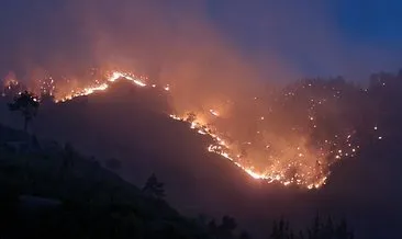 Kahramanmaraş’ta orman yangını: Ekiplerin müdahalesi sürüyor