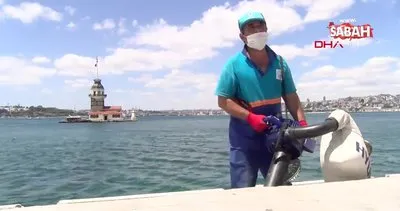 İstanbul Üsküdar sahilinde drone ile çekirdek denetimi | Video