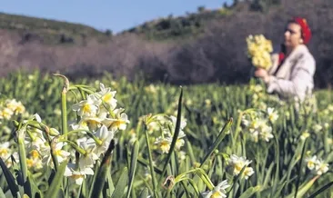 Aile bütçesine mis kokulu destek