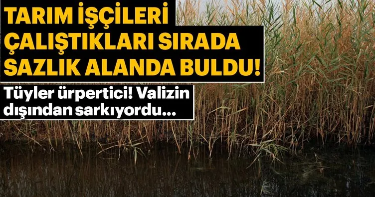 Izmir De Valiz Icinde Kadin Cesedi Bulundu Sayfa 2 En Son Haber