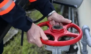 Küresel doğal gaz talebi zirve yaptı