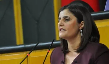 Dirayet Dilan Taşdemir kimdir ve nereli? İçişleri Bakanı Soylu, Gara’ya giden HDP’linin Dirayet Dilan Taşdemir olduğunu açıkladı!