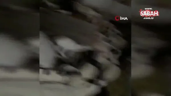 Manisa'da 5.2'lik depremi önceden haber veren koyunların görüntüleri şoke etti | Video
