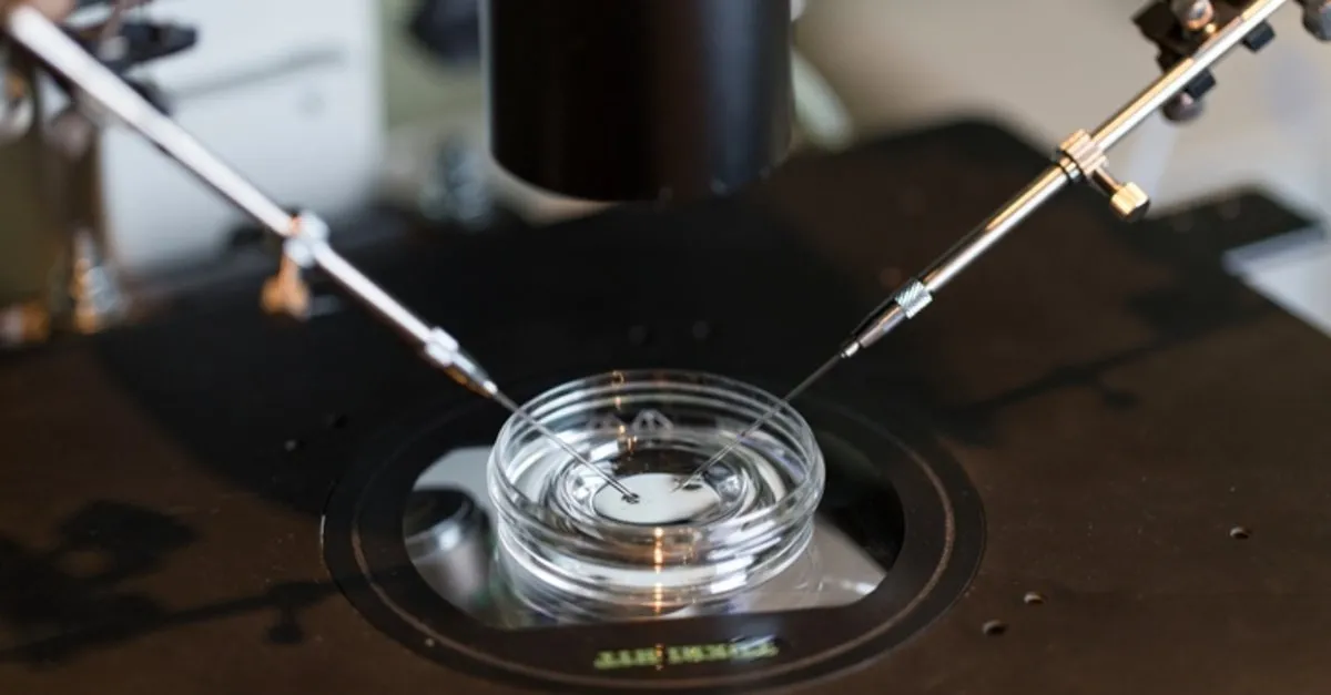 asilama nedir asilama tedavisi nasil