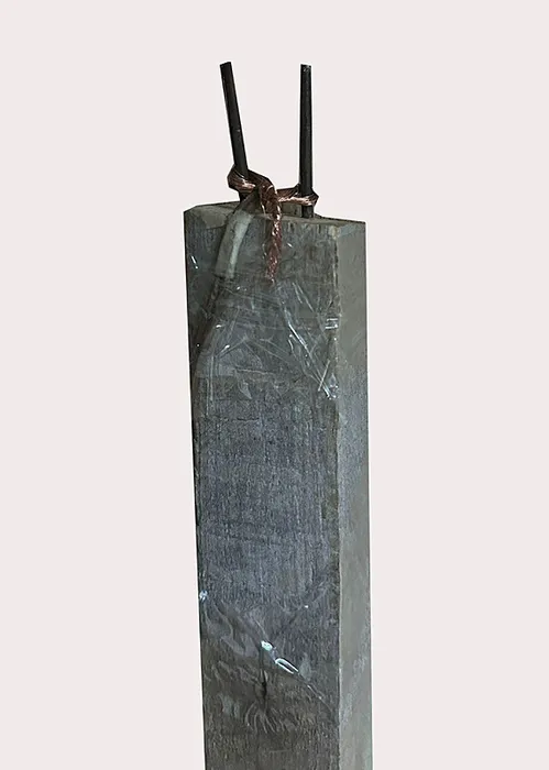 Antalya’da dehşeti yaşattı! Komşunun önce evini tinerle yaktı sonra elektrikli düzeneği göğsüne...