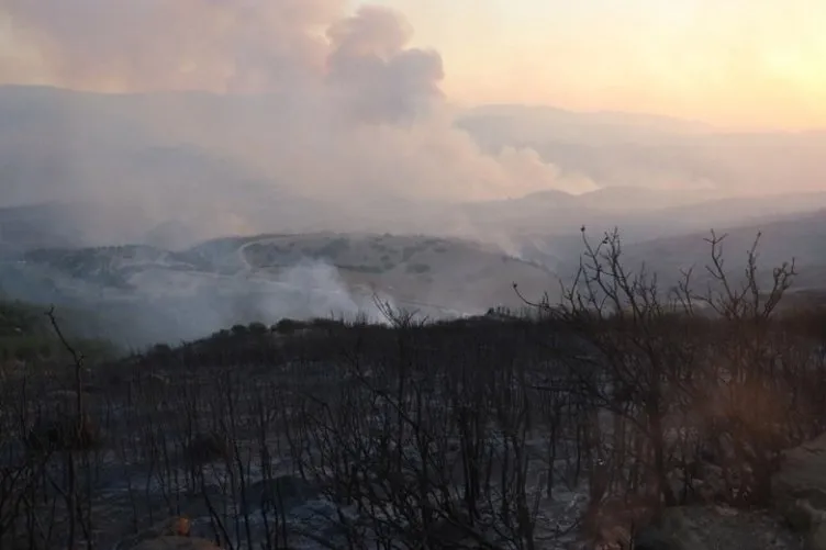 Yangınlardan son dakika haberi: Manavgat, Isparta ve Muğla yangınlarında son durum