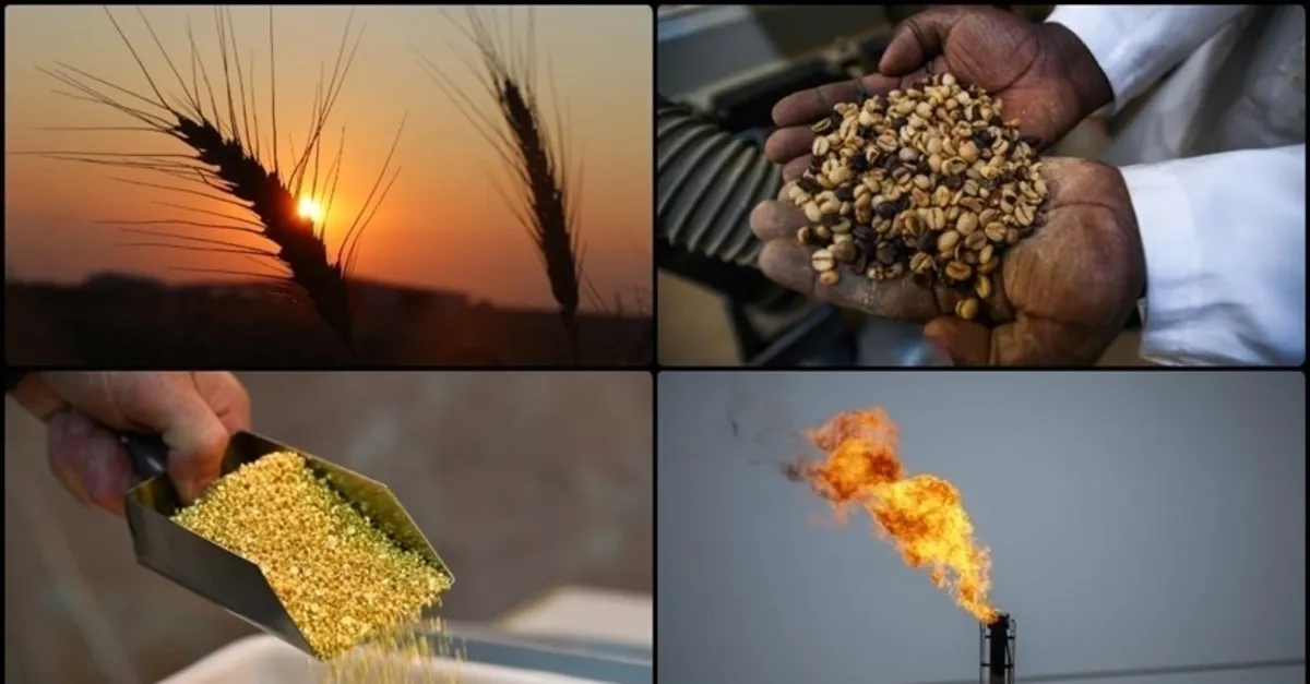 Emtia Piyasasında Güvenli Liman Arayışı: Ticaret Savaşları ve Enflasyon Baskısı Altında Altın ve Diğer Varlıklar