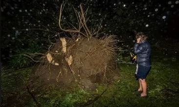 Cook Kasırgası Yeni Zelanda’yı vurdu