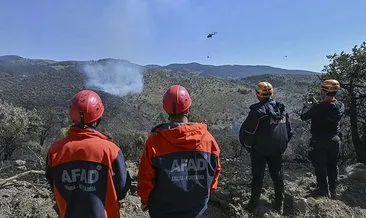 Ankara-Bolu sınırındaki yangın: 1 kişi gözaltına alındı! #ankara