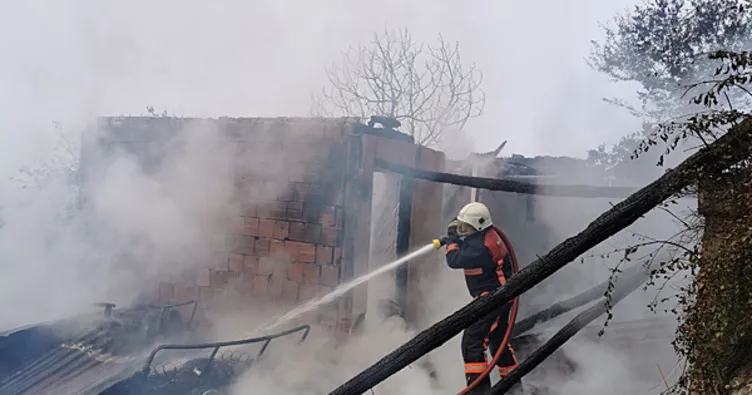 Artvin’de 4 ev yanarak küle döndü