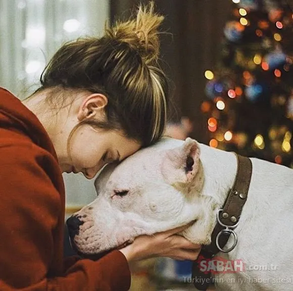 Güzel oyuncu Alina Boz köpeğine böyle veda etti! ’Huzur içinde uyu pamuk kalplim’