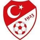 Türkiye Milli Futbol Takımı yarı finale yükseldi