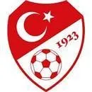 Türkiye Milli Futbol Takımı yarı finale yükseldi