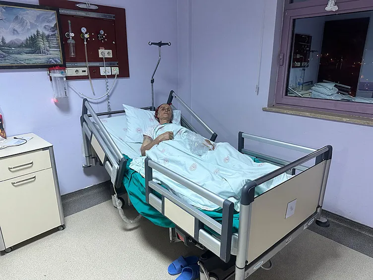 SON DAKİKA... 7 sokak köpeği 65 yaşındaki kadını parçaladı: Vücuduna tam 50 dikiş atıldı!