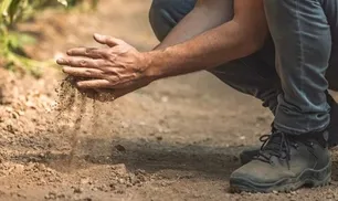 Teyemmümün Farzları ve Sünnetleri