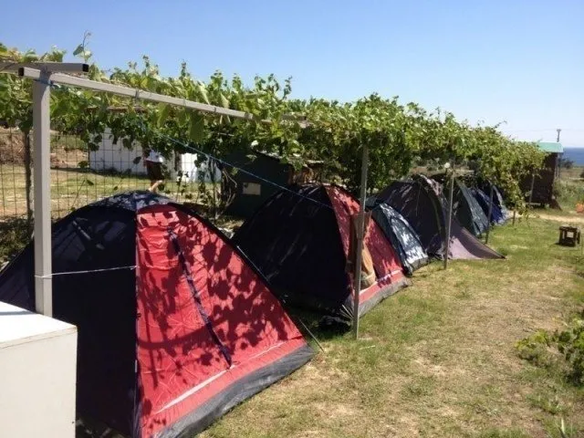 Türkiye’nin en iyi 20 kamp alanı