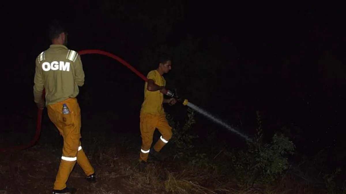 Kahramanmaraş’ta çıkan orman yangını söndürüldü Kahramanmaraş’ta çıkan orman yangını söndürüldü
