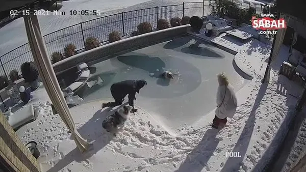 Buz tutan havuza düşen köpeğini böyle kurtardı | Video