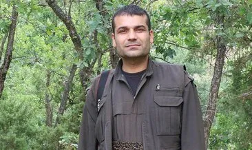 Üst düzey PKK’lı öldürüldü