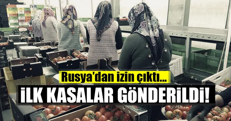 Rusya’ya domates ihracatı izni çıktı